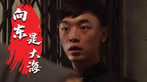 向东是大海在线观看,揭秘“向东是大海”在线观看之旅  第3张