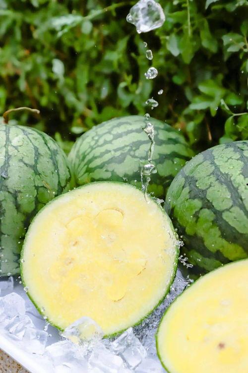 黑料吃瓜ios下载免费,揭秘娱乐圈幕后真相 第1张 黑料吃瓜ios下载免费,揭秘娱乐圈幕后真相 第1张